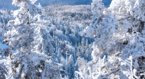 Microtel Inn & Suites by Wyndham Mont Tremblant Near Hotel Photos