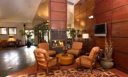 Desert Rose Resort Public Areas Photos