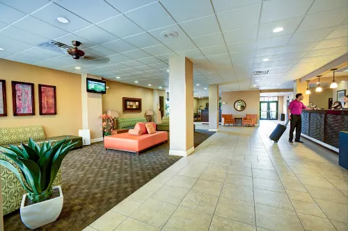 Rosen Inn Closest to Universal Featured Photos