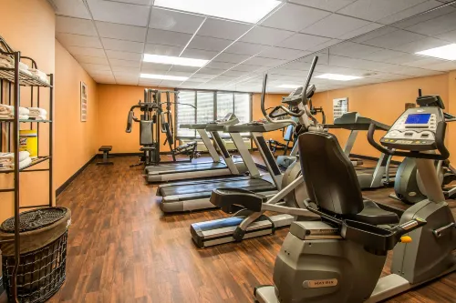 Comfort Inn & Suites Kissimmee by the Parks الترفيه والتسلية Photos