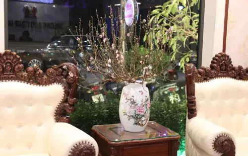 Khách sạn Halong Boutique Photos