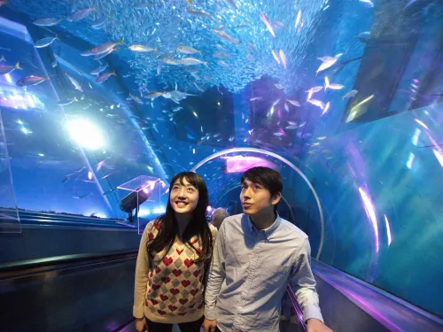 Yokohama Techno Tower Hotel Photos