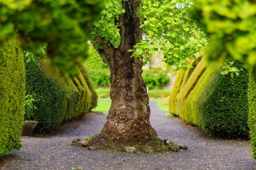 Thornbury Castle - A Relais & Chateaux Hotel Near Hotel Photos