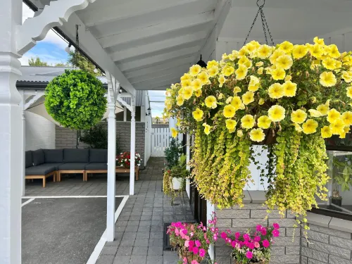 Ashbrook Motel Taupo Public Areas Photos