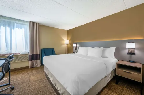 Comfort Inn & Suites East Hartford - Hartford Rooms Photos