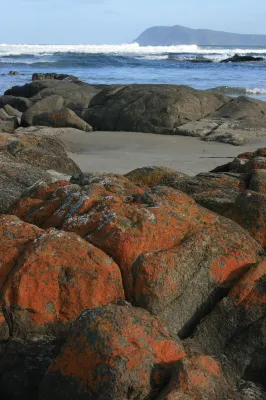 Snug Beach Cabin and Caravan Park Dekat Hotel Photos
