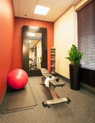 Hampton Inn Washington-Dulles Int'l Airport South Leisure & Recreation Photos