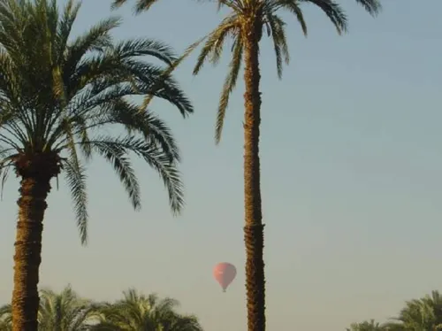 El Nakhil Hotel À proximité de l'hôtel Photos
