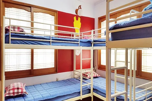 Captain Jeju Guesthouse - Hostel Rooms Photos