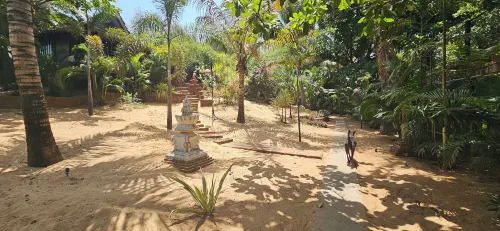 Little India Beach Cottages Near Hotel Photos
