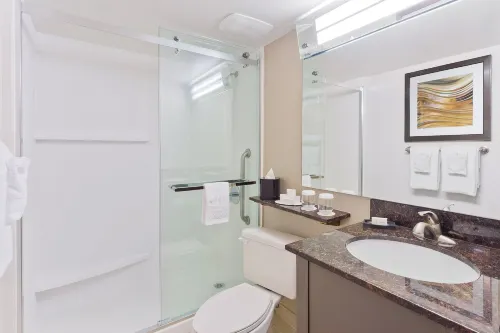 Courtyard Miami Downtown/Brickell Area Kamar Photos