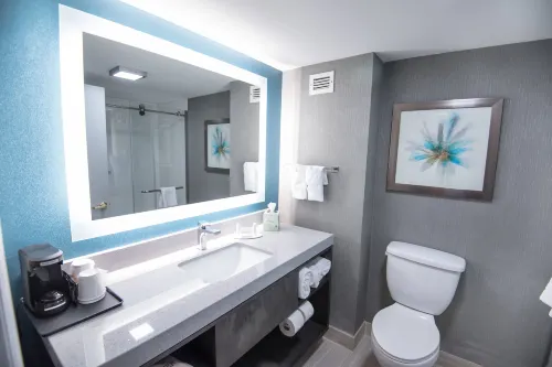 Fairfield Inn & Suites Atlanta Airport North Zimmer Photos