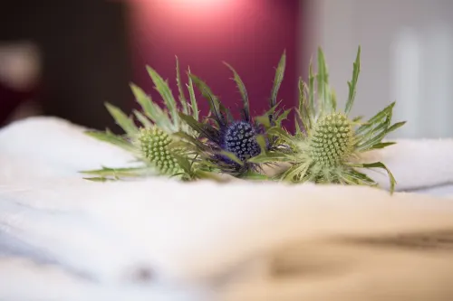 The Spires Serviced Apartments Edinburgh Zimmer Photos