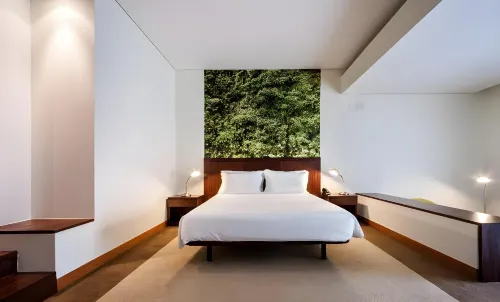 Neat Hotel Avenida Photos