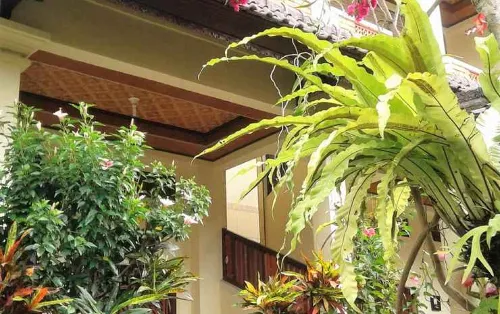 Arjuna Homestay Ubud Photos