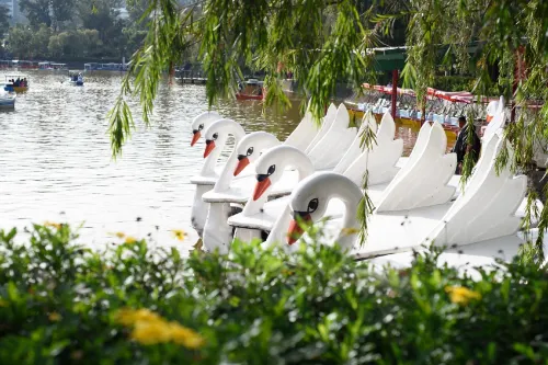 Sotogrande Hotel Baguio Near Hotel Photos