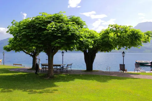 Hotel Stadler am Attersee Near Hotel Photos