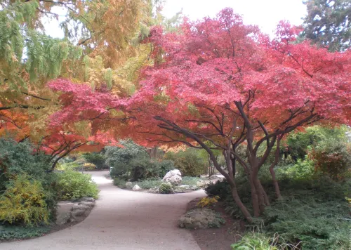Ensana Grand Margaret Island Near Hotel Photos