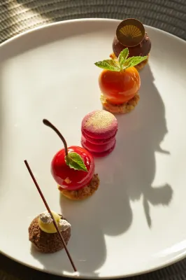 Mandarin Oriental, Santiago Restauration Photos