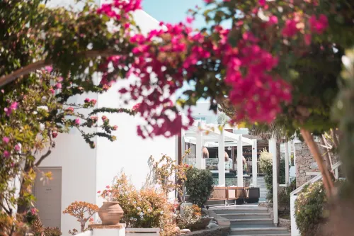 Semeli Hotel Mykonos Extérieur Photos