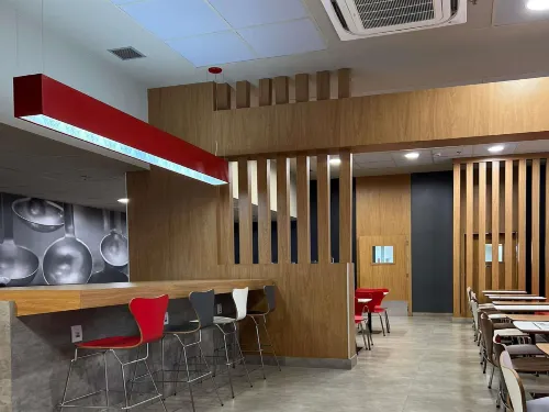 Ibis Catalao Restauration Photos