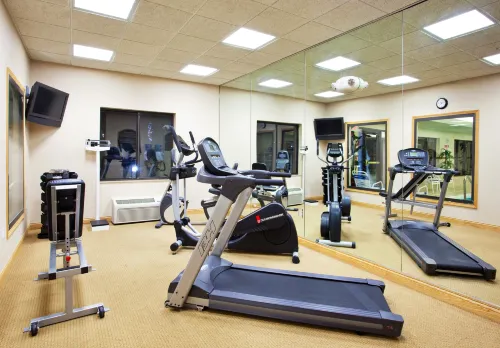 Holiday Inn Express & Suites Detroit - Utica Freizeit und Erholung Photos