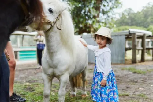 RAC Karri Valley Resort Photos