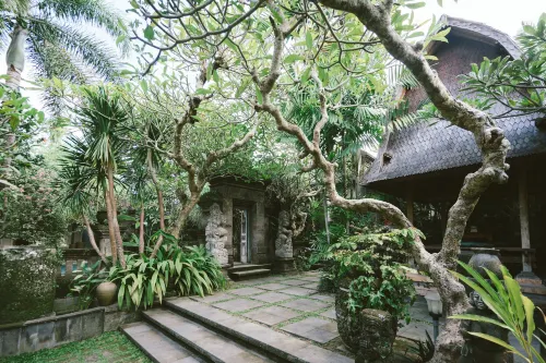 Honeymoon Guesthouse Eksterior Photos