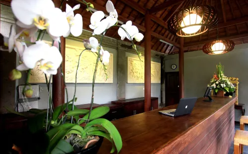 Ubud Raya Boutique Hotel Khu vực công cộng Photos