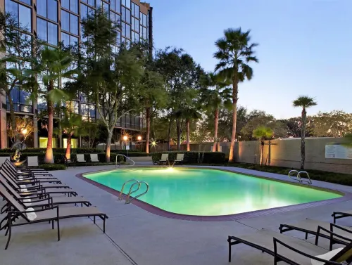 Sheraton Houston Brookhollow Hotel Loisirs et amusements Photos