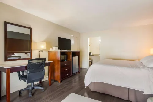 SureStay Hotel by Best Western Sarasota Lido Beach Rooms Photos
