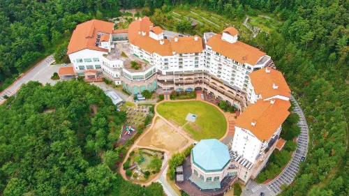 Stx Resort Featured Photos