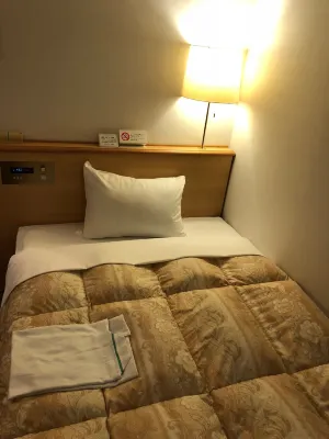 Business Hotel Cosmo Inn Photos