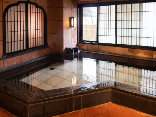 Hotel Castle Inn Suzuka Benessere e tempo libero Photos