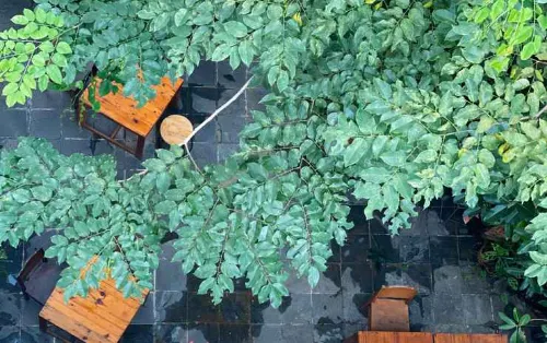 Khách sạn De Condor Ngoại thất Photos