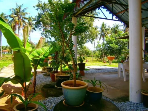 The Cottage Langkawi Udvendigt Photos