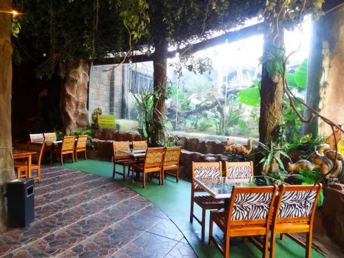 Pohon Inn Hotel Makanan Photos