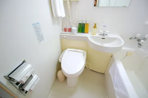 Izumo Royal Hotel Camere Photos
