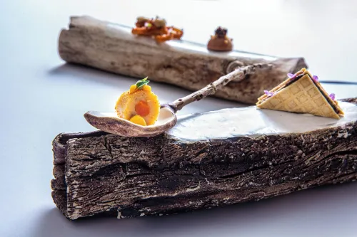 Zoetry Mallorca Wellness & Spa Photos