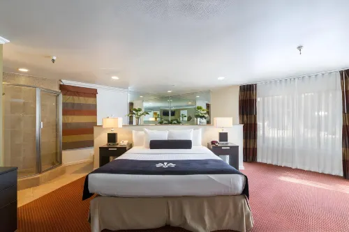 Alexis Park All Suite Resort Rooms Photos