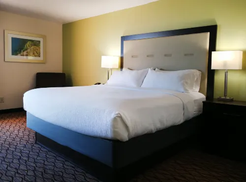 Holiday Inn Corpus Christi Downtown Marina Chambres Photos