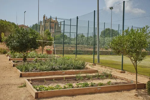 Zoetry Mallorca Wellness & Spa Exterior Photos