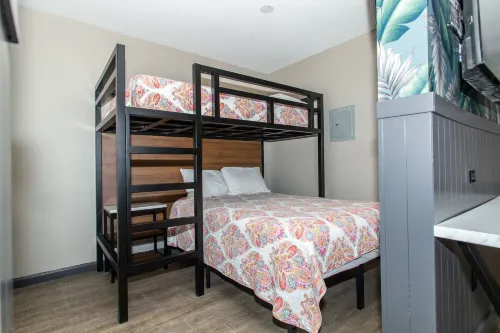 Magnolia Tree Hotel-Maingate/Anaheim Convention Center Rooms Photos