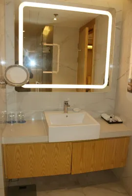 HANSA- A Premium Residence Photos