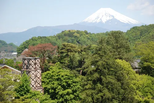 HOTEL LAFORET SHUZENJI Circondario Photos