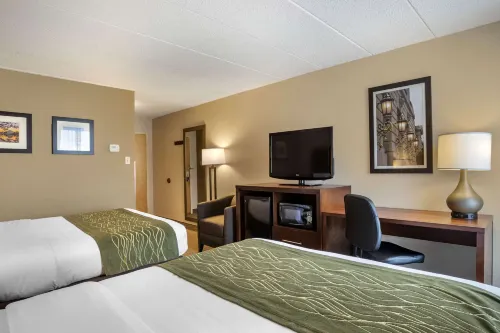 Comfort Inn Shady Grove - Gaithersburg - Rockville Chambres Photos