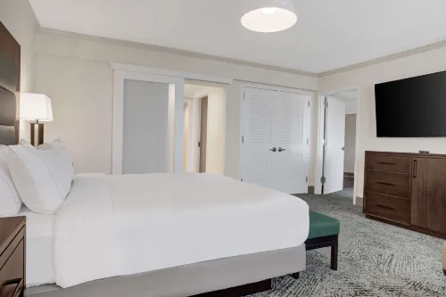 Hilton Arlington National Landing Photos
