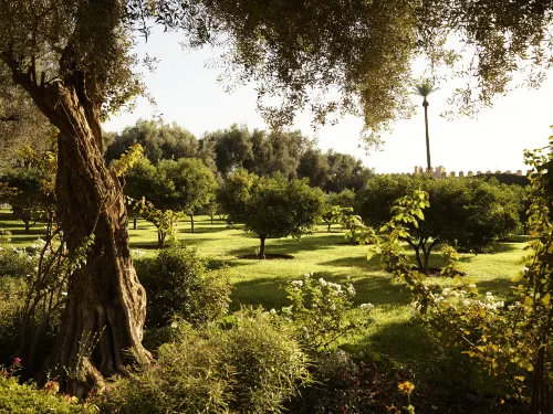 فندق المامونية من الخارج Photos