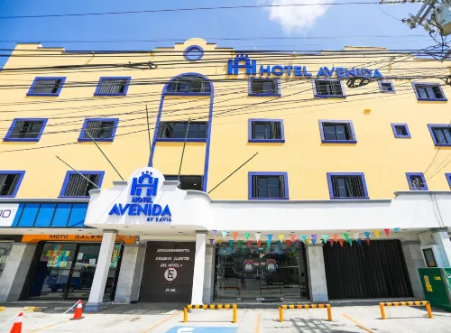 Hotel Avenida Cancun Esterni Photos