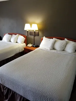 Days Inn by Wyndham Wilson Phòng Photos